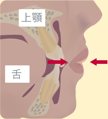 正常な呼吸　イメージ