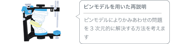 ピンモデルを用いた再説明／ピンモデルによりかみあわせの問題を3次元的に解決する方法を考えます